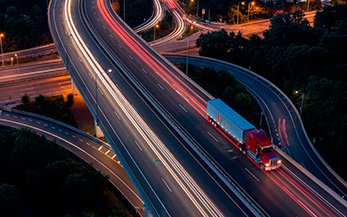 Cavibela Manuseio e Tranporte para todo Brasil